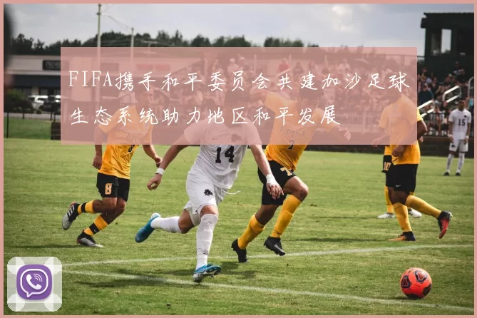 FIFA携手和平委员会共建加沙足球生态系统助力地区和平发展