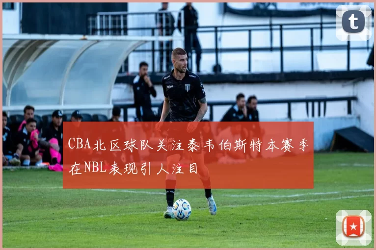 CBA北区球队关注泰韦伯斯特本赛季在NBL表现引人注目