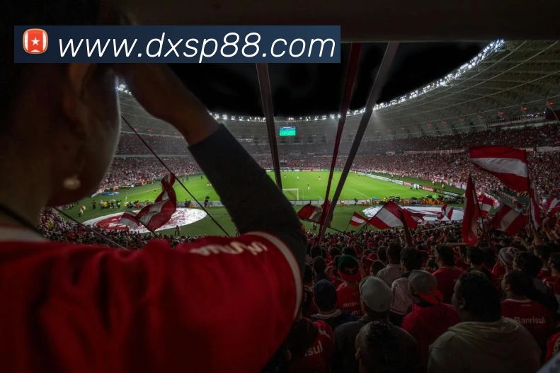 体育数据展示